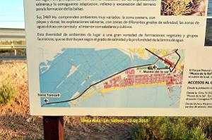 33 SANTA POLA LES SALINES (39)